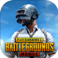 pubg mobile地铁逃生 2024最新版手游app