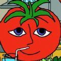 mrtomatos 安卓下载手游app