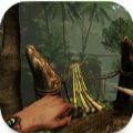 死亡生存岛2 最新版手游app