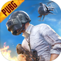 pubg mobile国际服手游手游app