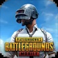 pubg国际服 下载最新版本2024手游app