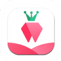 树莓小说手机软件app