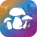 真实采集蘑菇模拟器手游app