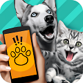 动物语言翻译器 中文版手机软件app
