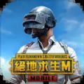 pubg国际服手游 地铁逃生官方版更新手游app