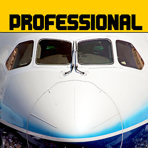 模拟飞行787 专业版最新版手游app