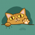 桔小猫短视频手机软件app