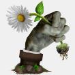 植物大战僵尸现实版 手机版手游app