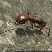 3d蚂蚁模拟器手游app