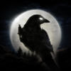 Night Crows手游app