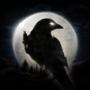 night crows 汉化版手游app