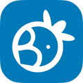  CarrotChat mobile software app
