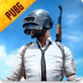 pubg国际服 手游下载2.9版本手游app