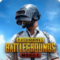 PUBG MOBILE(国际服)手游app