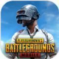 pubg国际服地铁逃生 官方下载入口手游app