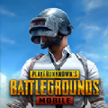 pubg绝地求生 正版下载入口手游app