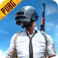 pubg国际服 手游最新版下载手游app