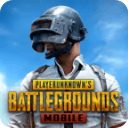 地铁逃生 正版官方下载手机版pubg手游app