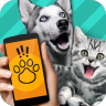 动物语言翻译器 安卓最新版手机软件app