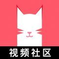 猫咪app视频 官方正版手机软件app