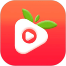 草莓视频 app正版入口手机软件app