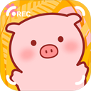 美食家小猪的大冒险 免广告手游app