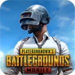 PUBG 汉化版手游app