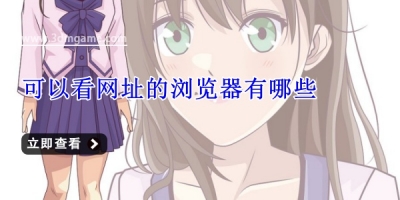 可以看网址的浏览器有哪些