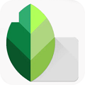 snapseed app中文版下载手机软件app