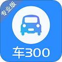 车300二手车 官网版手机软件app