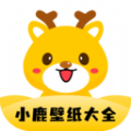 小鹿壁纸 最新版手机软件app