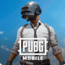 pubg ʷ