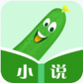 丝瓜小说 免费版手机软件app