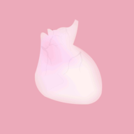 生命LIFE