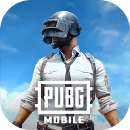 PUBG 2025国际服最新安装入口手游app