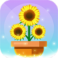 植物花园天堂 安卓版手游app