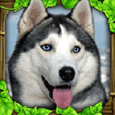 ˹ģ ֻ