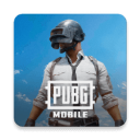 pubgʷ 2025
