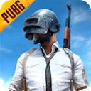 PUBG M(ʷ)2025