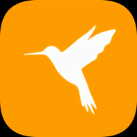 HttpCanary（黄鸟抓包）手机软件app