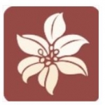 300百合会 官网版手机软件app