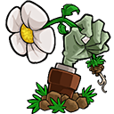 植物大战僵尸 e版支线最新版手游app