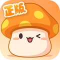 冒险岛：枫之传说 中文版手游app