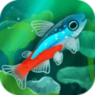 养鱼达人3D 安卓版手游app