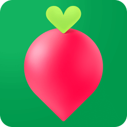 叮咚买菜手机软件app
