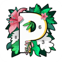 paintly 正版手游app