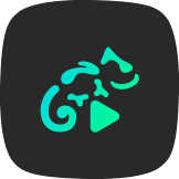 蜥蜴音乐播放器 高级专业版手机软件app