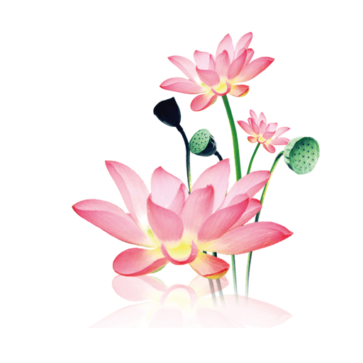 水墨工具箱 app官方网站入口手机软件app