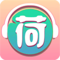 小荷听书 专业版手机软件app