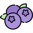 蓝莓音乐 最新版手机软件app